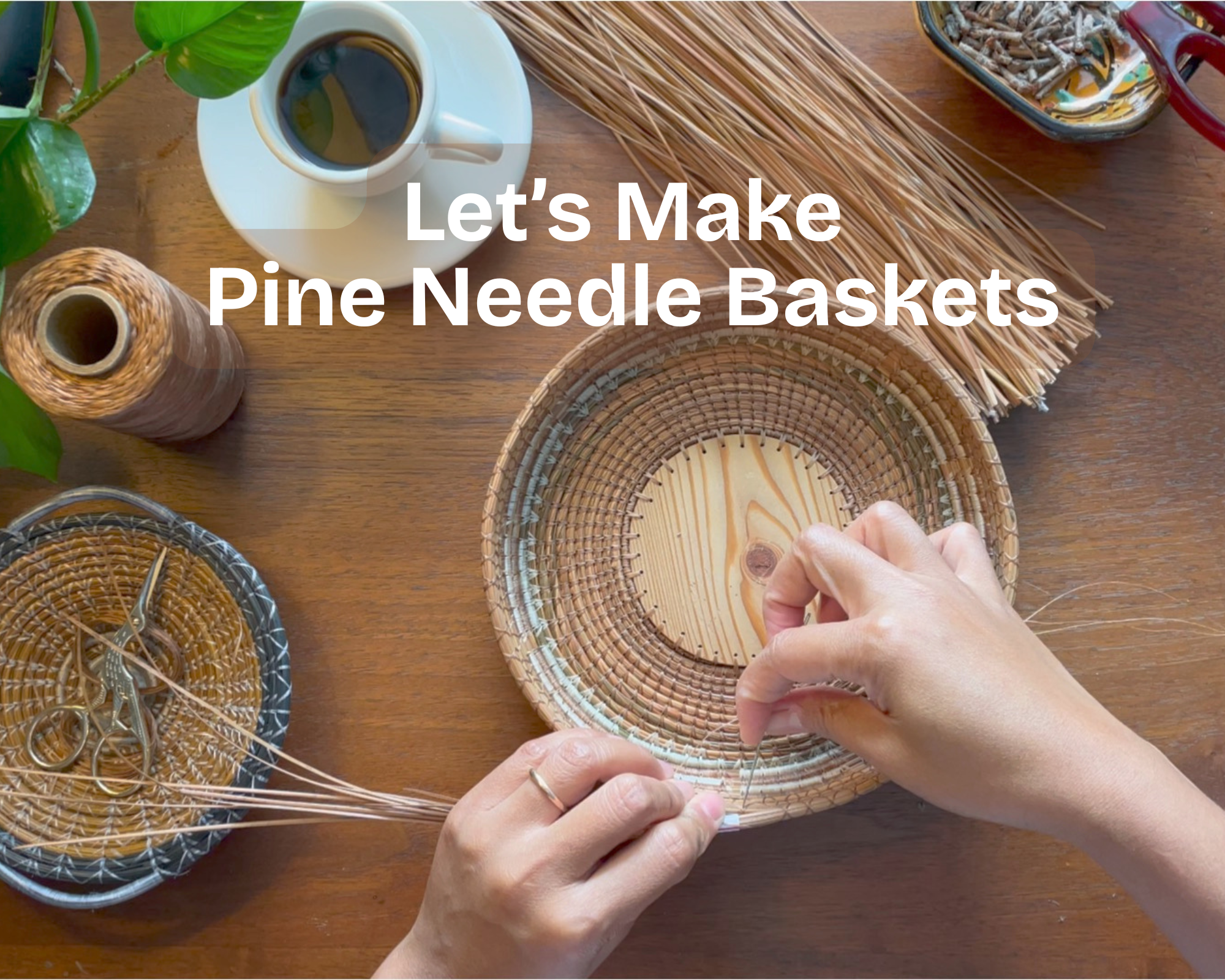 3-MONTH Online Course - Learn how to Make Pine Needle Baskets from scratch - Pine Needle Class - Pine Needle Basket-Making Tutorials - Image 2